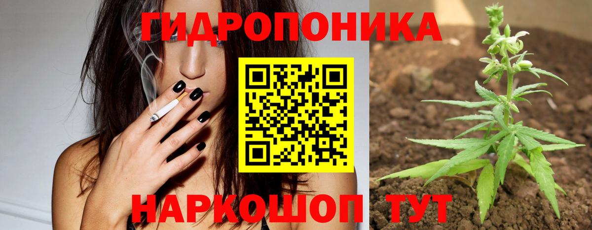МАРИХУАНА конопля Курчатов